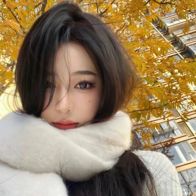 猫和老鼠在纽约